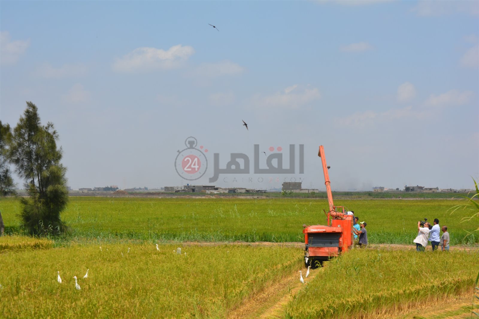 سهل الطينة