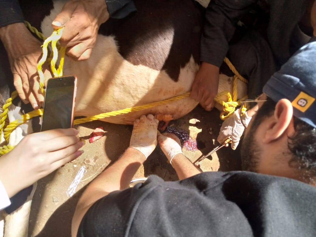 IMG-20210904-WA0047