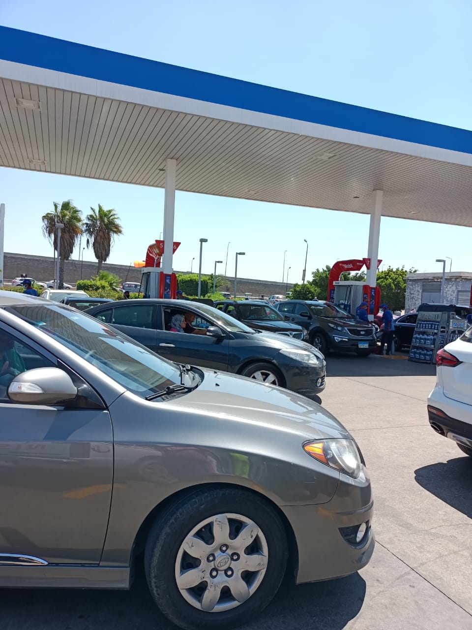 IMG-20211008-WA0030