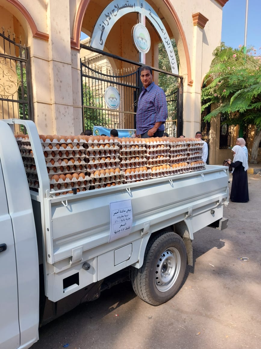 الزراعة تطرح البيض في منافذها ب 45 جنية