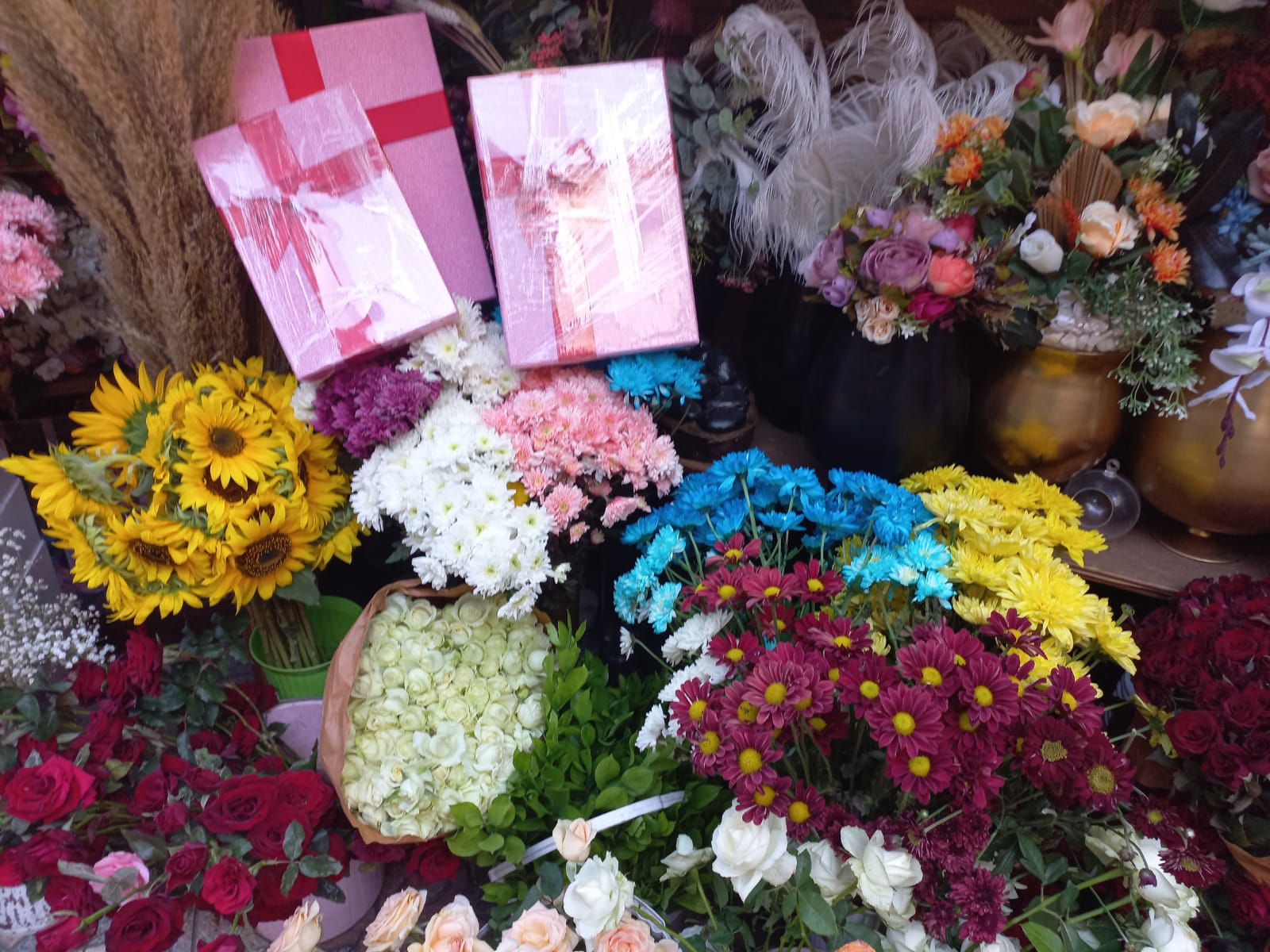 IMG-20211104-WA0026