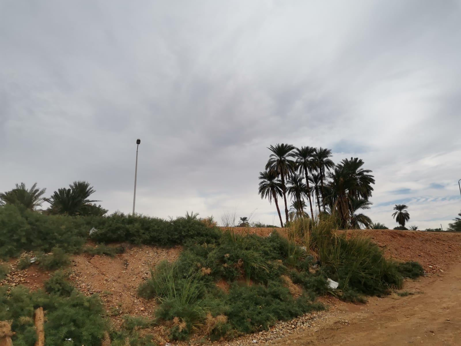 IMG-20211116-WA0029