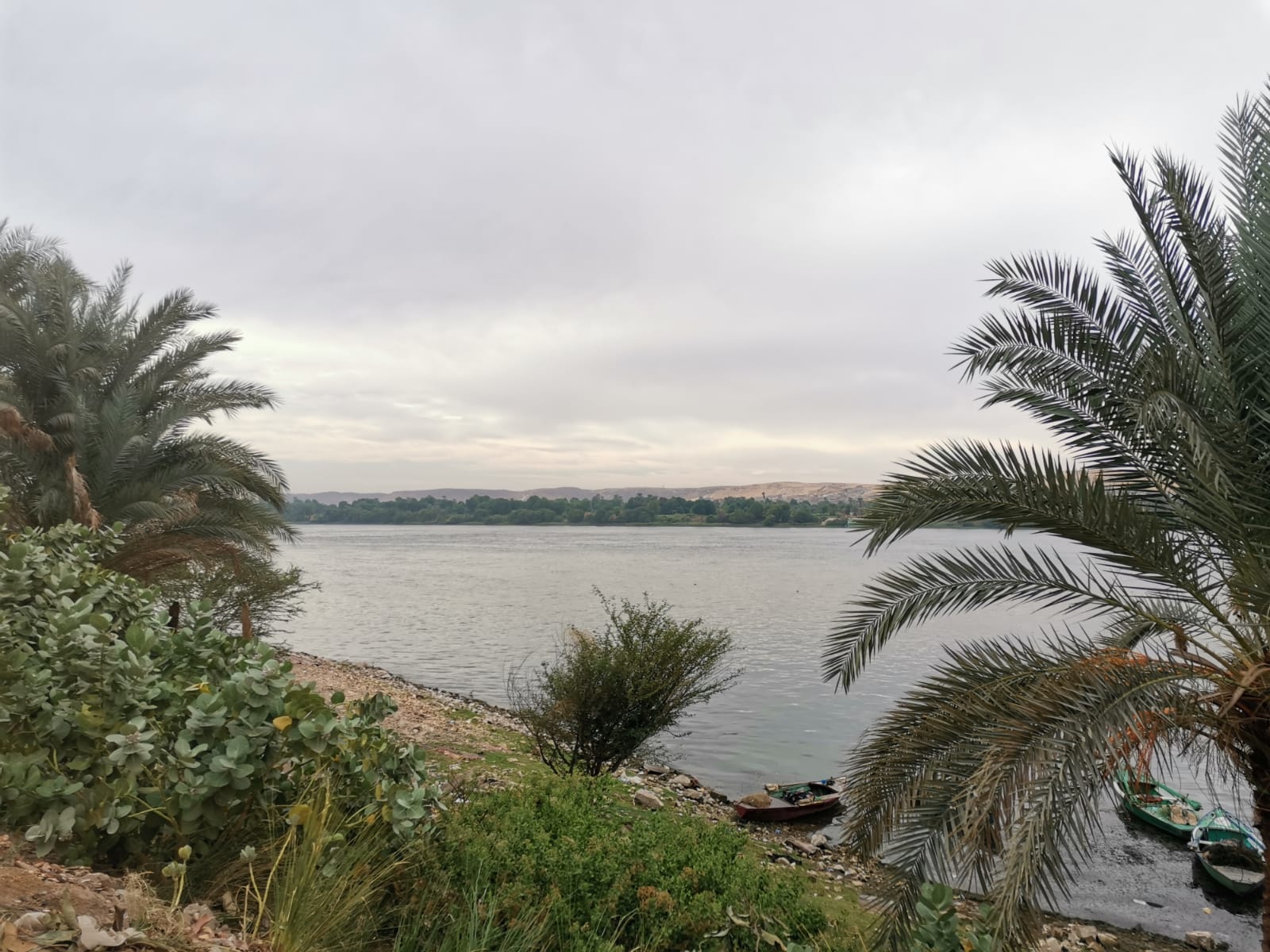 IMG-20211116-WA0026