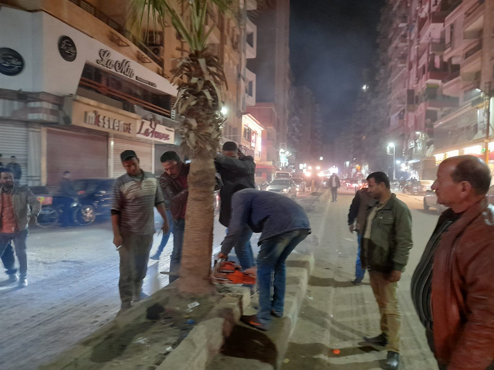 إزالة الأشجار والنحيل من الشارع