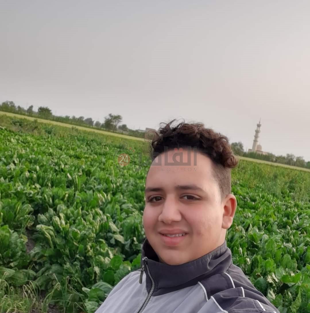 عمار