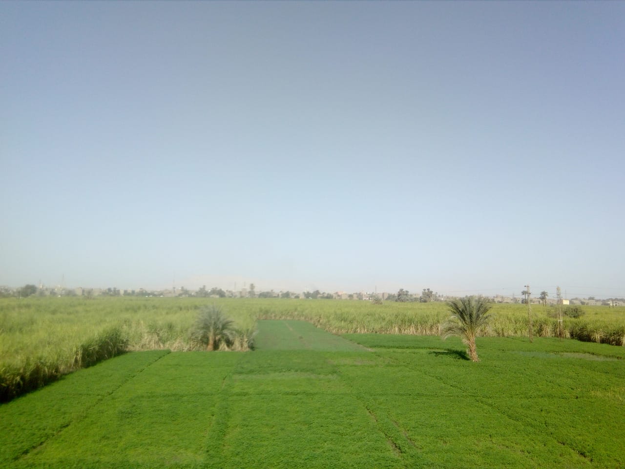 الأقصر 