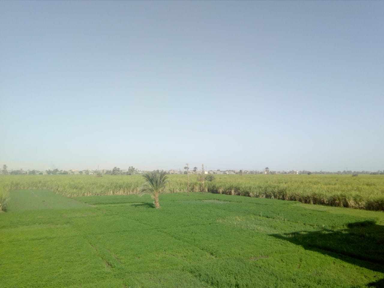 الأقصر 