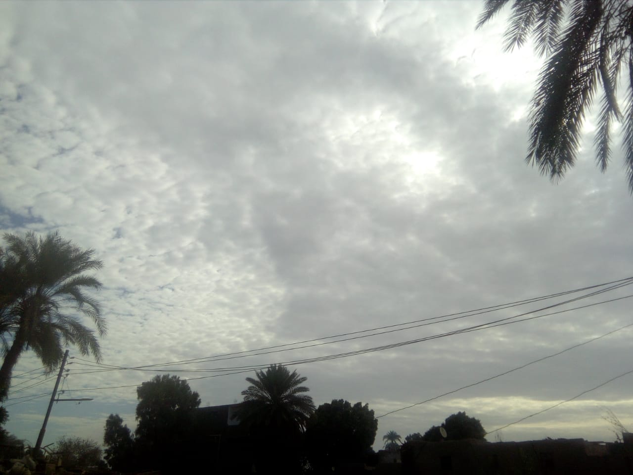 IMG-20220113-WA0005