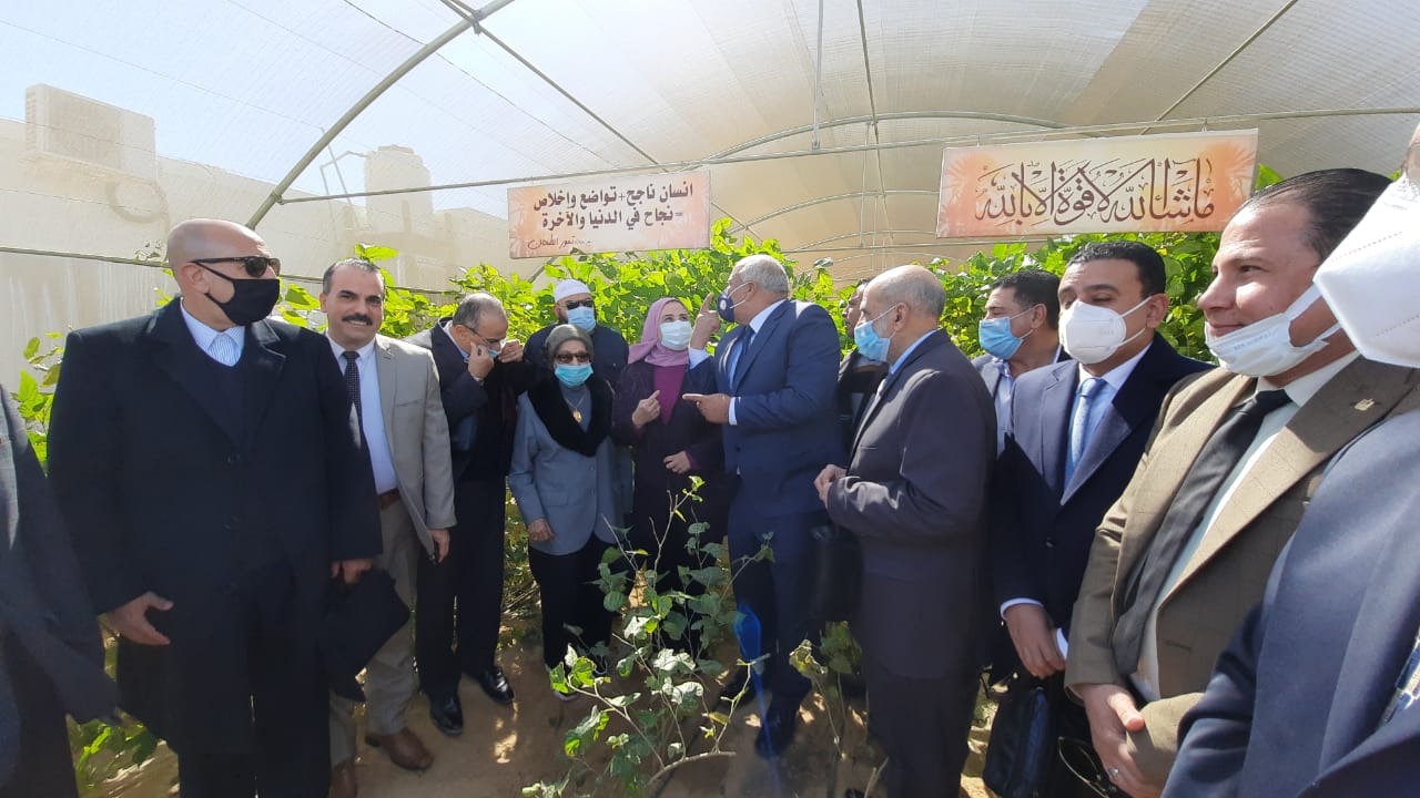 IMG-20220206-WA0020