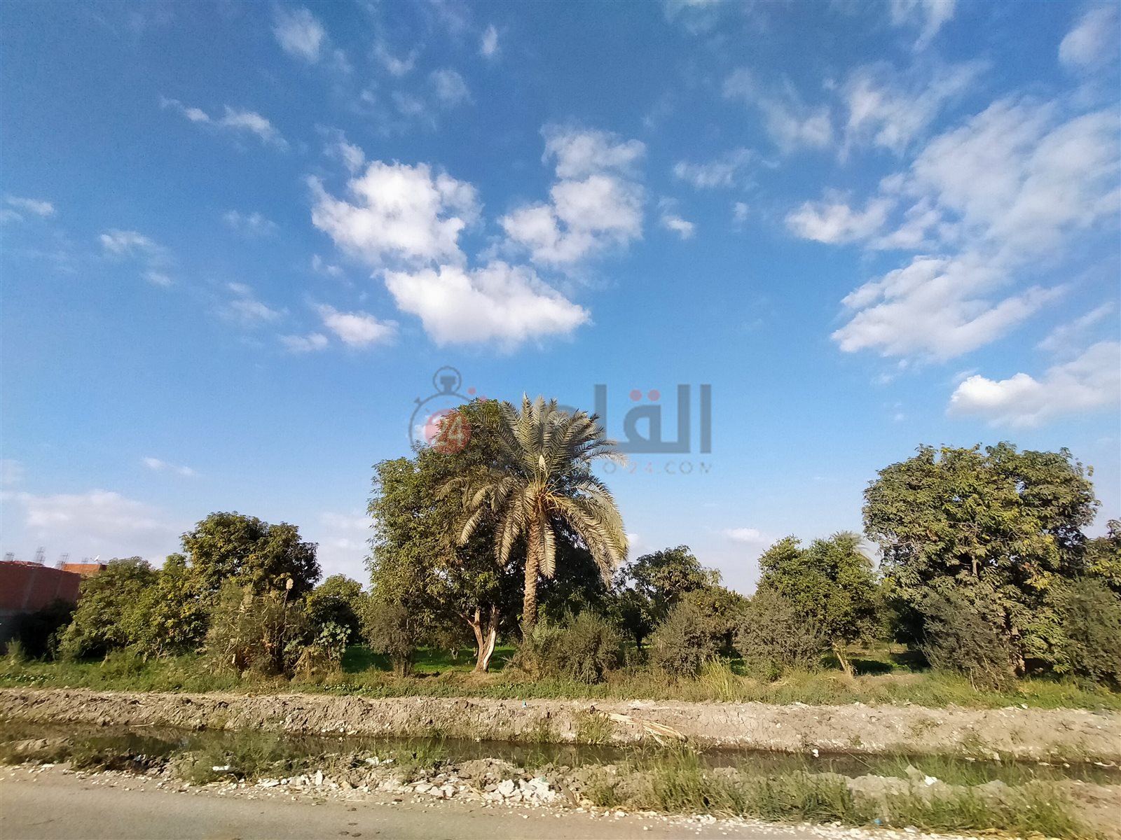 الفيوم