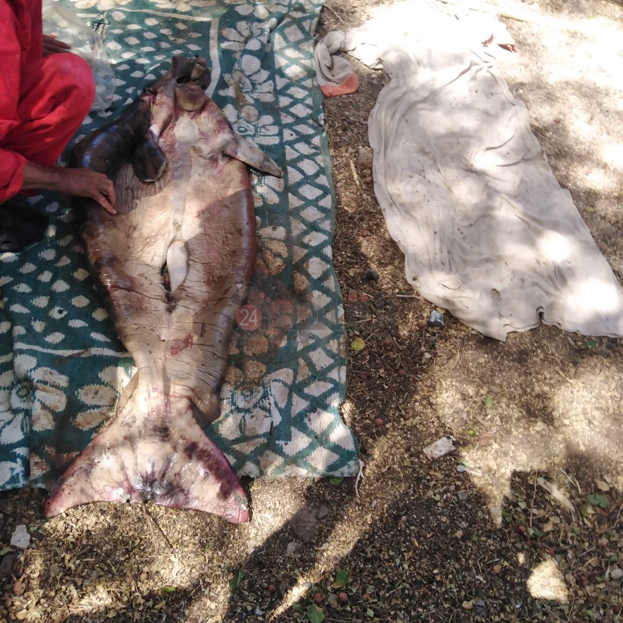 IMG-20220525-WA0025