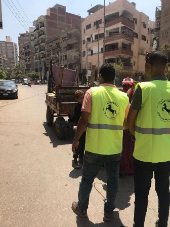 حملات لضبط مركبات التوك توك المخالفة بالشرقية