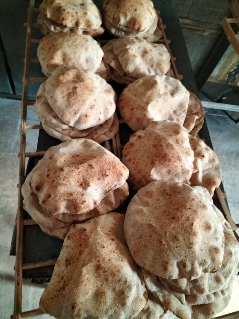 IMG-20221011-WA0019