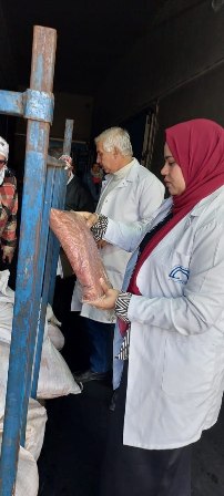 الحملات 04