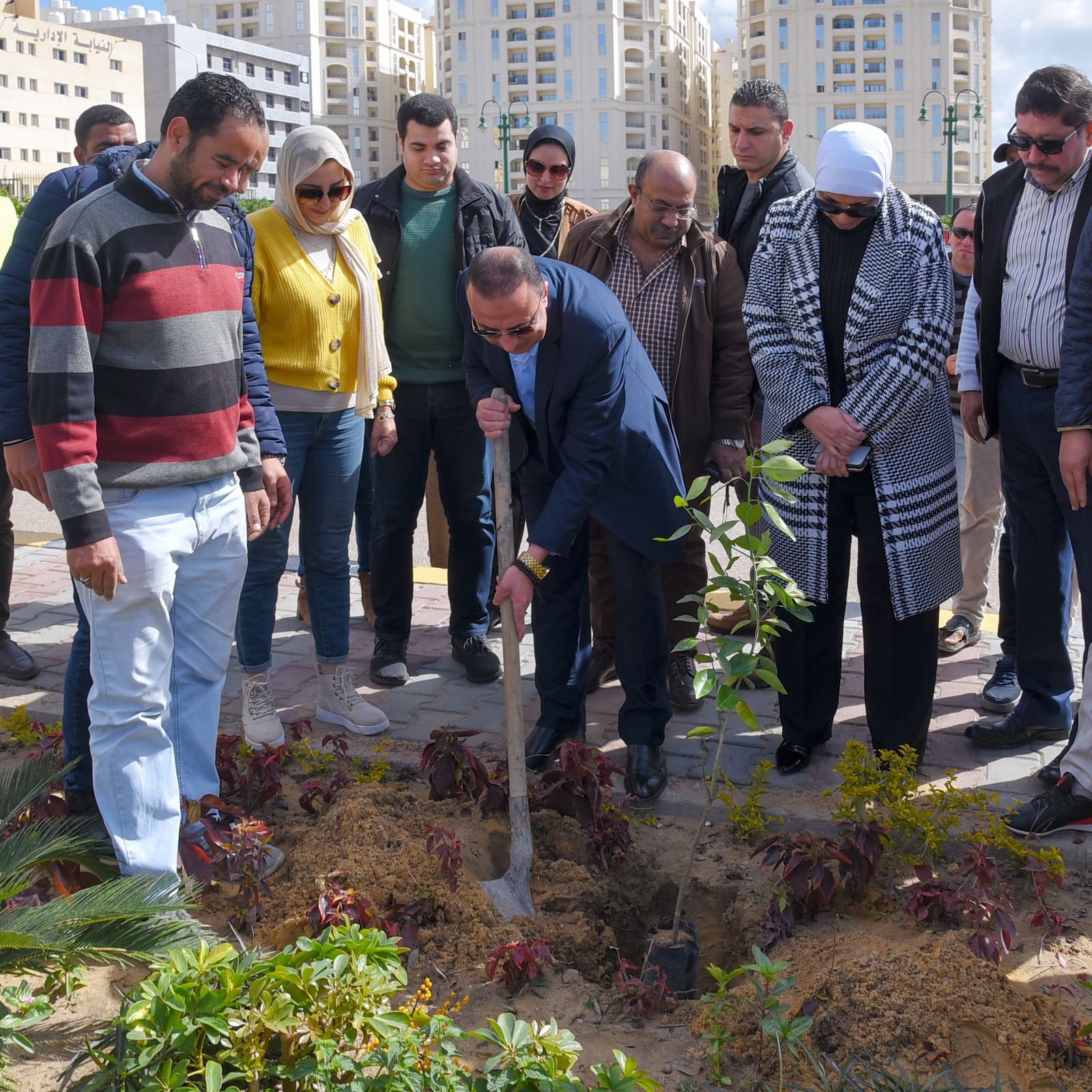 مبادرة 100مليون شجرة 