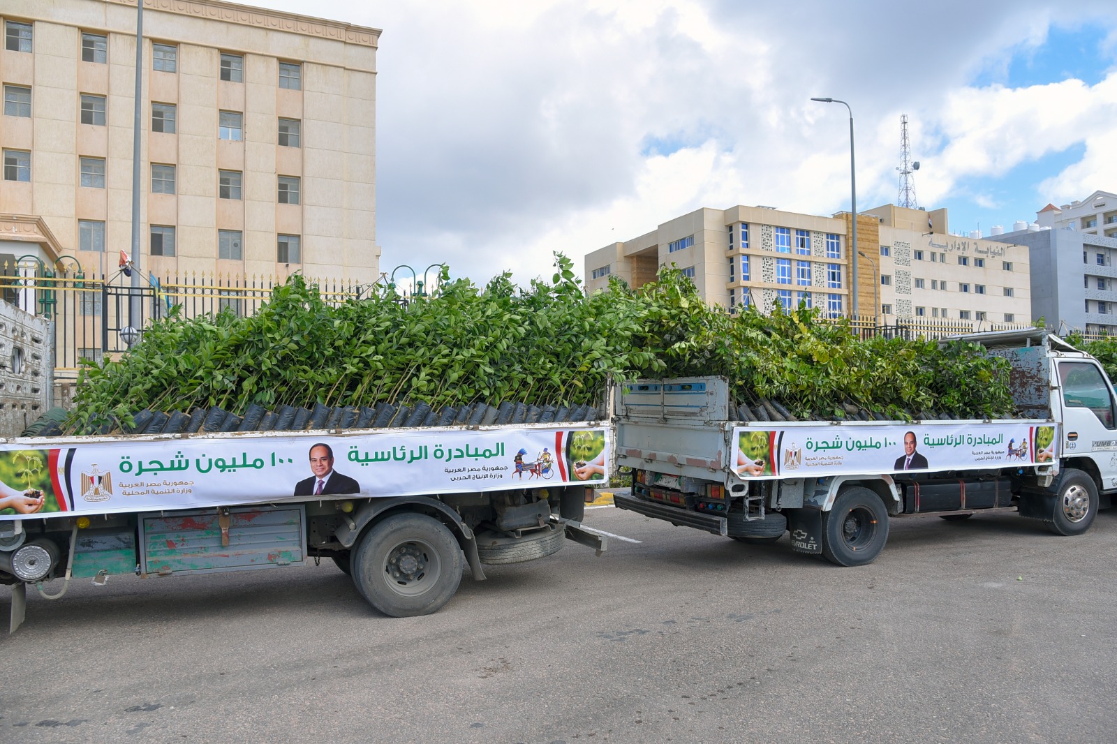مبادرة 100مليون شجرة 