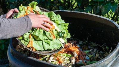 معلومات الوزراء: إهدار حوالي 30% من الطعام.. ونصف النفايات تنتج في المدن