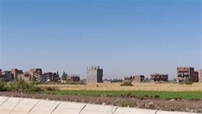 الحقول خالية.. غياب مظاهر الاحتفال بقدوم شم النسيم بالشرقية| بث مباشر 