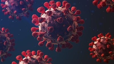 حقيقة دخول مصر في موجات وبائية جديدة بعد تحذير منظمة الصحة العالمية | بث مباشر