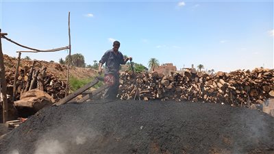 txt