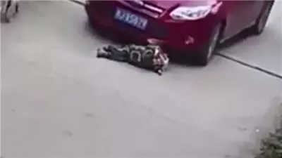 القبض على سائق النقل المتسبب في وفاة 4 أشخاص وإصابة آخر بالجيزة
