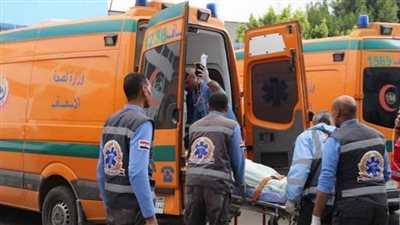 إصابة 7 أشخاص دهستهم سيارة مسرعة على طريق بحيرة قارون بالفيوم