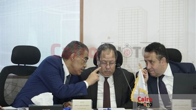 أبو العلا يحاول انتزاع الكلمة.. وضياء رشوان: لن يحدث في الحوار الوطني