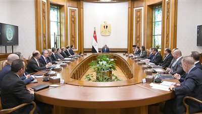 تفاصيل اجتماع الرئيس السيسي بالمجلس الأعلى للاستثمار