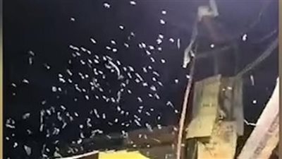 بعد ظاهرة الصين المثيرة للرعب.. سقوط آلاف الديدان البيضاء من السماء بالهند| فيديو وصور