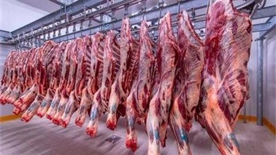 فتح المجازر أمام المواطنين مجانا طوال أيام عيد الأضحى المبارك 2023 | بث مباشر