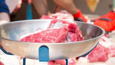 حكم أكل لحم الجمل والوضوء.. دار الإفتاء تحسم الجدل