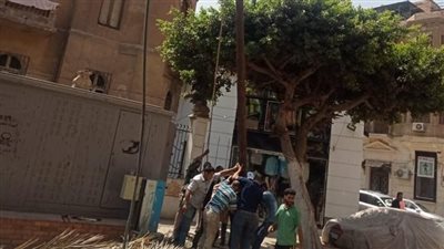 تسببت في انقطاع التيار الكهربائي.. سقوط نخلة بمنزل الأديب الراحل عباس محمود العقاد | بث مباشر 