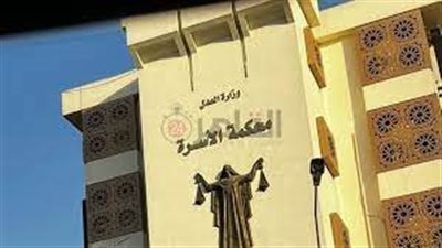 بيظهر في مقاطع فيديو ببدل رقص.. سيدة تقيم دعوى طلاق للضرر ضد زوجها بالوايلي| بث مباشر 