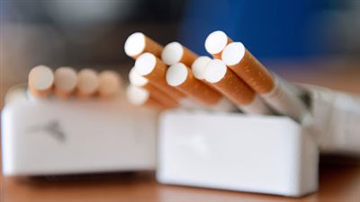 بلاغ ضد مافيا احتكار السجائر وطلب لرئيس الوزراء ومجلس النواب للسماح بزراعة التبغ 