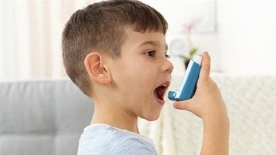 txt