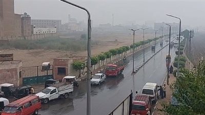 انخفاض درجات الحرارة ورياح.. سقوط أمطار غزيرة على محافظة الغربية بالتزامن مع العاصفة دانيال| بث مباشر 