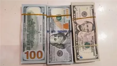 مخبيهم في الشنطة.. حبس المتهم بتهريب عملات أجنبية بميناء القاهرة الدولي
