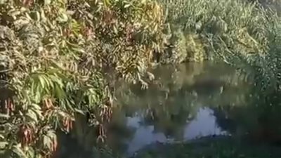 مصرع شخصين وإصابة آخر في انقلاب سيارة نقل أموال بإحدى الترع في الأقصر | بث مباشر