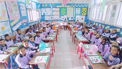 من مديري المدارس إلى لجان متخصصة.. كيف تتحكم تعليم القاهرة في ملف تحويلات الطلاب؟ 