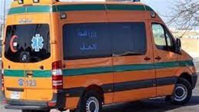 بسبب خلافات الجيرة.. عاطل ينهى حياة جاره بسلاح أبيض بالإسكندرية| بث مباشر 