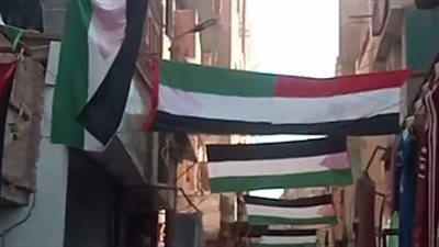 شوارع الفيوم تتزين بعلم فلسطين تضامنًا مع غزة.. والأهالي: أقل دعم نقدر نقدمه لإخواتنا | بث مباشر