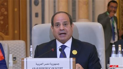 السيسي لـ المجتمع الدولي: مصر والعرب سعوا في مسار السلام لعقود.. والآن تأتي مسئوليتكم 