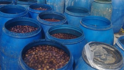 إعدام طن ونصف أغذية وعصائر غير صالحة للاستهلاك الآدمي بالدقهلية 