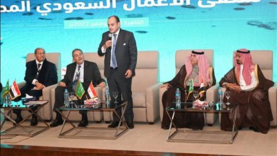 وزير الصناعة: تقديم كافة أوجه الدعم للاستثمارات السعودية العاملة بالسوق المصري