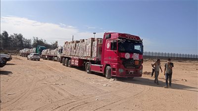 هل استهدفت إسرائيل شاحنة مساعدات مصرية بشمال غزة؟.. مصدر يجيب