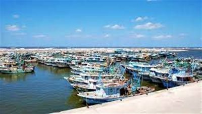 عودة الحياة البحرية لطبيعتها بكفر الشيخ واستئناف رحلات الصيد بعد تحسن حالة الطقس اليوم| بث مباشر