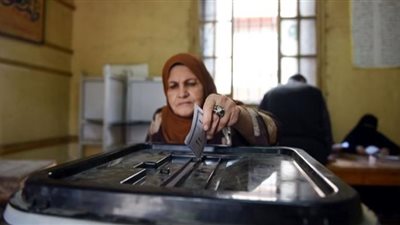 بالاسم.. لجان المغتربين في الانتخابات الرئاسية بالقاهرة وأسوان