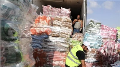 الاتحاد العام للمصريين في الخارج يشارك في قوافل دعم أبناء غزة 