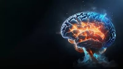 نصائح للحفاظ على صحة الدماغ.. تعرف عليها