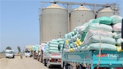 لاستقبال 121 ألف طن قمح.. انطلاق ماراثون موسم بشاير الخير لتوريد الأقماح المحلية بالإسكندرية 